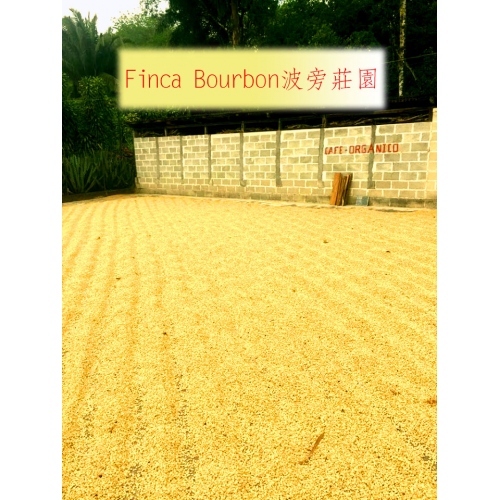 掛耳包10入-瓜地馬拉-波旁莊園