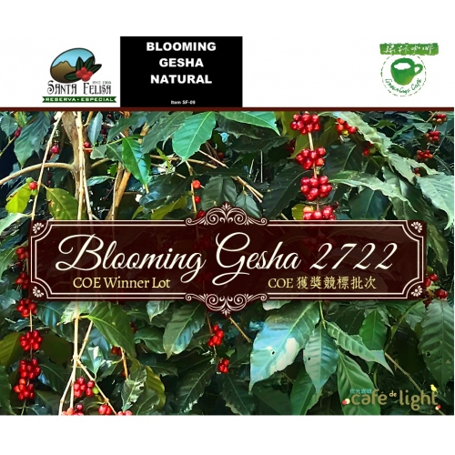 掛耳包10入-百花綻放-藝妓-日曬-瓜地馬拉-聖翡麗莎莊園