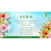 百花藝妓-日曬-瓜地馬拉-聖翡麗莎莊園