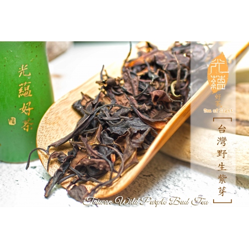 台灣野生喬木紫芽2013年  Taiwan Wild Purple Bud Tea 2013