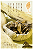 陳年台灣白茶 2006年 Taiwan Old White Tea 2006